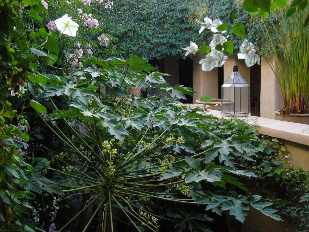 Dar Zahia Otel Taroudant Dış mekan fotoğraf