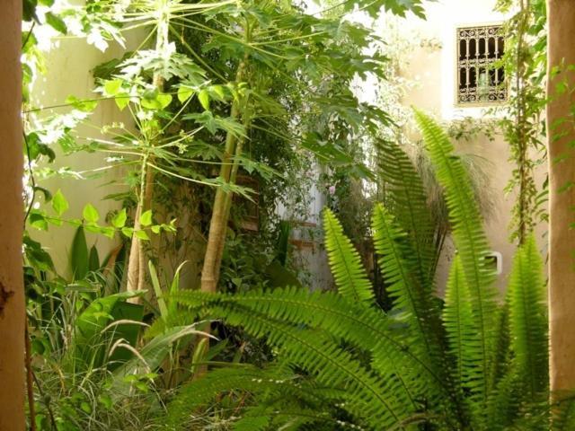 Dar Zahia Otel Taroudant Dış mekan fotoğraf