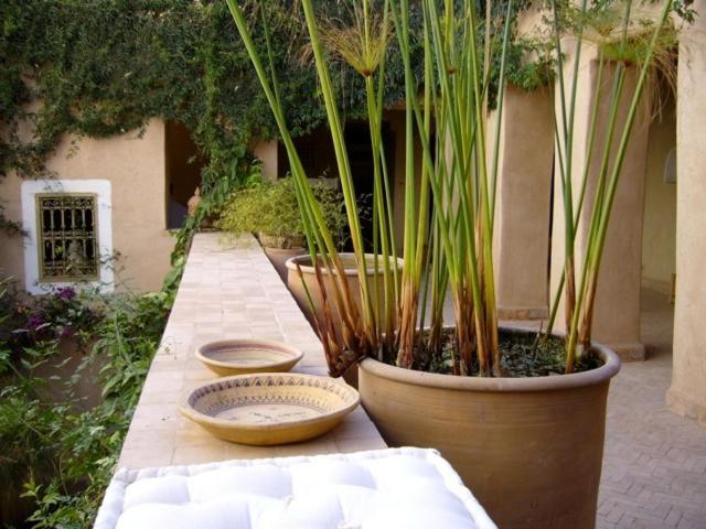 Dar Zahia Otel Taroudant Dış mekan fotoğraf