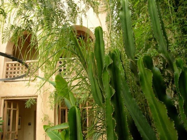 Dar Zahia Otel Taroudant Dış mekan fotoğraf