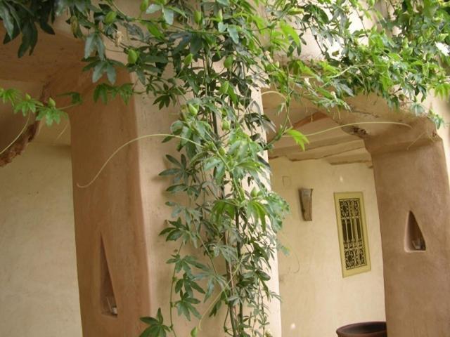 Dar Zahia Otel Taroudant Dış mekan fotoğraf