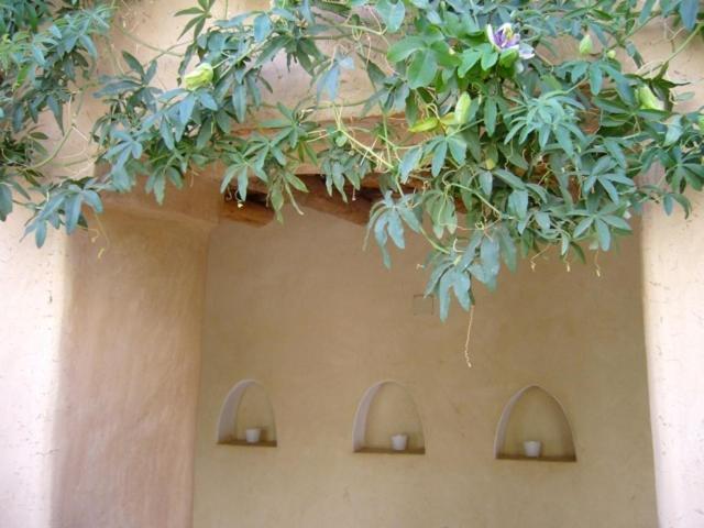 Dar Zahia Otel Taroudant Dış mekan fotoğraf
