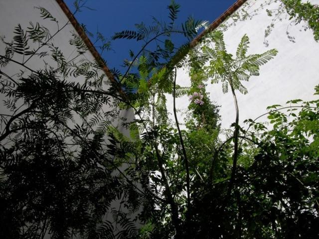 Dar Zahia Otel Taroudant Dış mekan fotoğraf